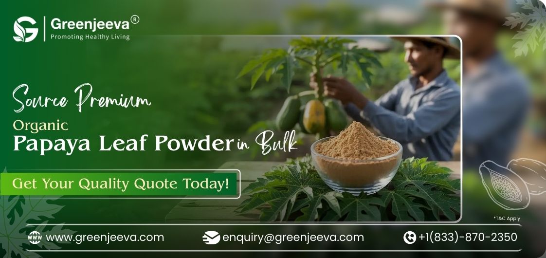 How to Reduce Lead Times When Procuring Organic Papaya Leaf Powder in Bulk